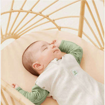 BabyBloom™ Infant Cocoon Swaddle Bag